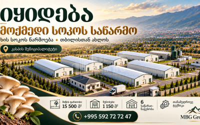 For Sale Mushroom Factory Commercial In Okami, Kaspi