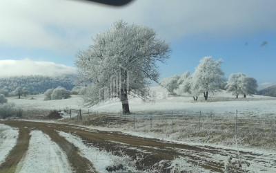 For Sale Land Zemo Gostibe Kaspi Shida Kartli