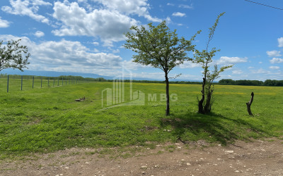 For-Sale-Land-Vartsikhe-Baghdati-Imereti