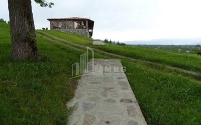 For Sale Commercial, Atskuri, Akhmeta Municipality, Municipalities of Kakheti