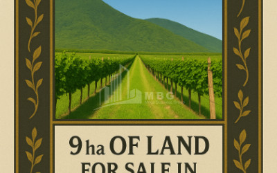 For Sale Land Kvareli Kakheti