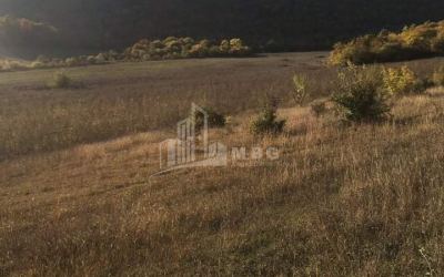 For Sale Vineyard - Chateau Land, in Matani
