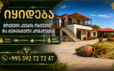 იყიდება კვების ობიექტი კომერციული ფართი ველისციხეში, გურჯაანი