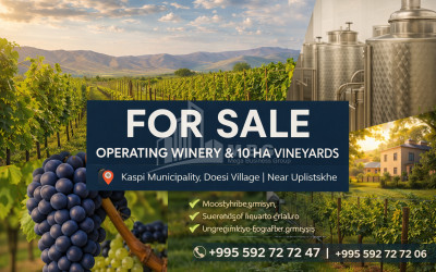 იყიდება კომერციული ფართი დოესი კასპი შიდა ქართლი