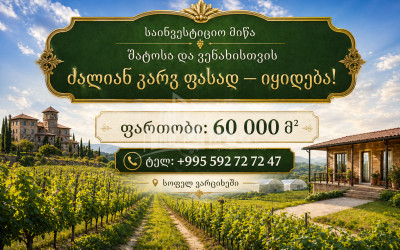 For Sale Orchards Land In Imereti