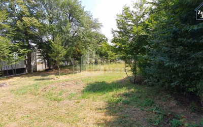 For Sale House - Villa, in Betania