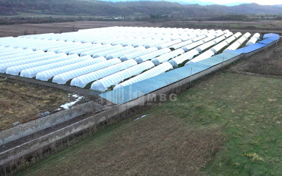 For Sale Land Vani Imereti