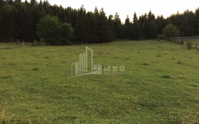 იყიდება სააგარაკე მიწის ნაკვეთი, მზეთამზე