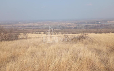 For Sale Land Samtatskaro Dedoplistskaro Kakheti