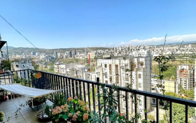 For Sale Flat Bagebi Vake District Tbilisi