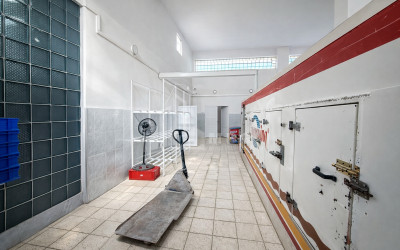 Business for sale Commercial Kvemo Ponichala Krtsanisi District Tbilisi