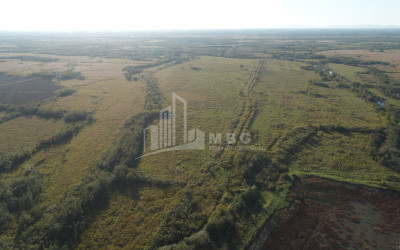 For Rent Land Maglaki Tskaltubo Imereti