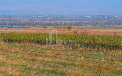 იყიდება მიწის ნაკვეთი სოფელი შაუმიანი მარნეული ქვემო ქართლი