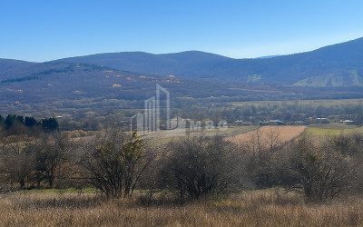 Продается Земля Трани Тианети Мцхета   Мтианети