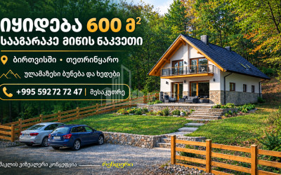 For Sale Country Land In Birtvisi Gorge, Tetritskaro
