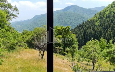 For Sale House - Villa, in Kvishkheti