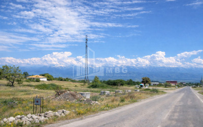 For Sale Land Telavi Kakheti