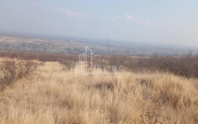 For Sale Land Samtatskaro Dedoplistskaro Kakheti