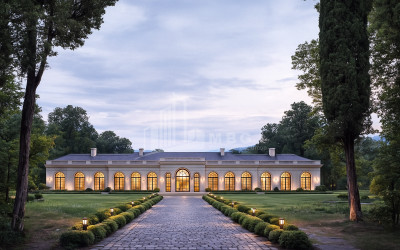 Продается-Коммерческий-Телави-Кахети