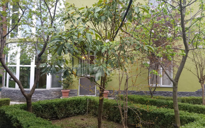 For Rent House Villa, Tskneti, Vake District, Tbilisi