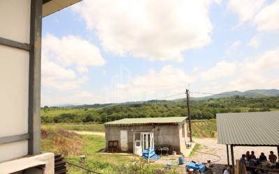 For Sale Orchards Land In Senaki