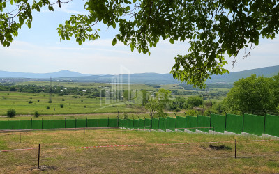 For Sale Commercial Bazaleti Dusheti Mtskheta   Mtianeti