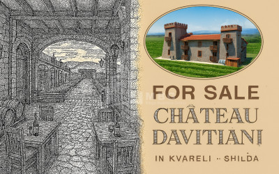 For Sale Commercial Kvareli City Kvareli Kakheti