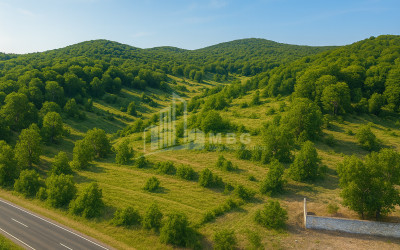 For Sale Land Cheremi Gurjaani Kakheti
