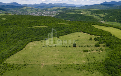 Продается Дачные Земля В Базалети, Душети