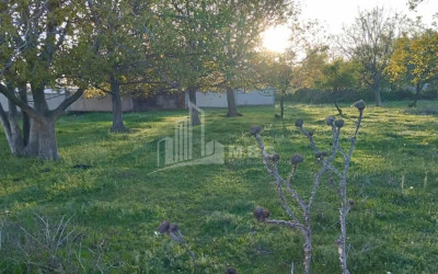 For Sale Land Zemo Teleti Gardabani Kvemo Kartli