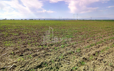 Продается Земля Марнеули Квемо Картли