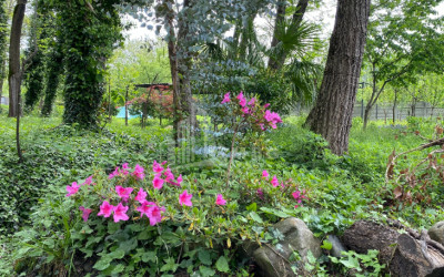 იყიდება ბიზნესი კომერციული ფართი თელავი კახეთი