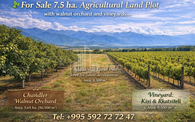 Продается Фруктовые сад Земля В Цинандали, Телави