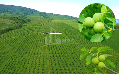 For Sale Commercial Kotoraantkari Mtskheta Mtskheta   Mtianeti