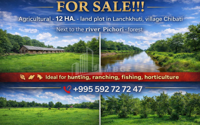 Продается Коммерческий Цицамури Мцхета Мцхета   Мтианети