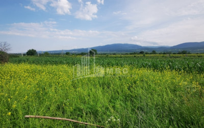 For Sale Land, Kogoto, Akhmeta Municipality, Municipalities of Kakheti