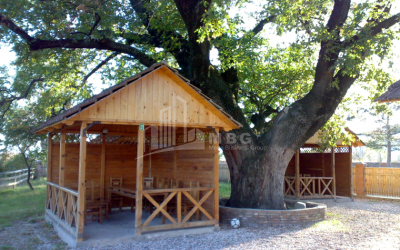 For Sale Country Land, in Misaktsieli