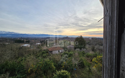 იყიდება ძველი აშენებული სახლი - აგარაკი ზემო ნატანებში, ოზურგეთი