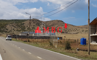 For Sale House - Villa, in Village Dighomi