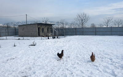 For Sale Commercial Metekhi Kaspi Shida Kartli