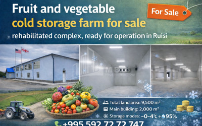 For Sale Refrigerator-freezer area Commercial In Ruisi, Kareli