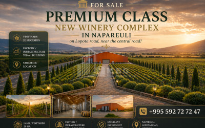 For Sale Vineyard - Chateau Land In Napareuli, Telavi