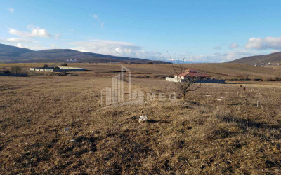 For Sale Land, Bazaleti, Dusheti Municipality, Municipalities of Mtskheta   Mtianeti