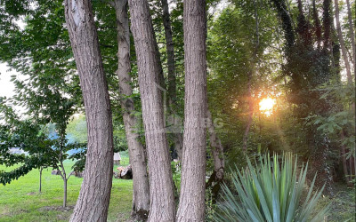 იყიდება ბიზნესი კომერციული ფართი თელავი კახეთი