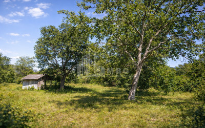 For-Sale-Land-Mchadijvari-village-Dusheti-Mtskheta---Mtianeti