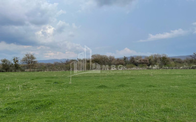 იყიდება მიწის ნაკვეთი ღულელები თიანეთი მცხეთა   მთიანეთი