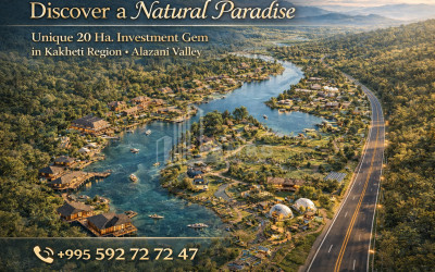 იყიდება კომერციული - არასასოფლო მიწის ნაკვეთი კახეთში