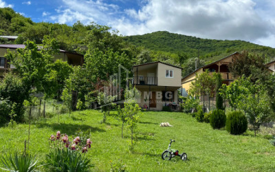 For Sale House Villa Tsilisofeli village Dusheti Mtskheta   Mtianeti