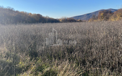 Продается Земля Базалети Душети Мцхета   Мтианети