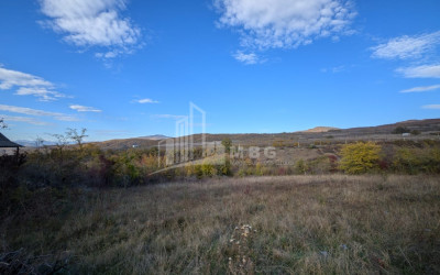 For Sale Land Zakaro Mtskheta Mtskheta   Mtianeti